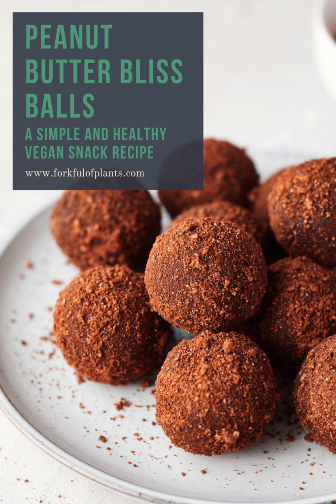 Pin image for peanut butter bliss balls