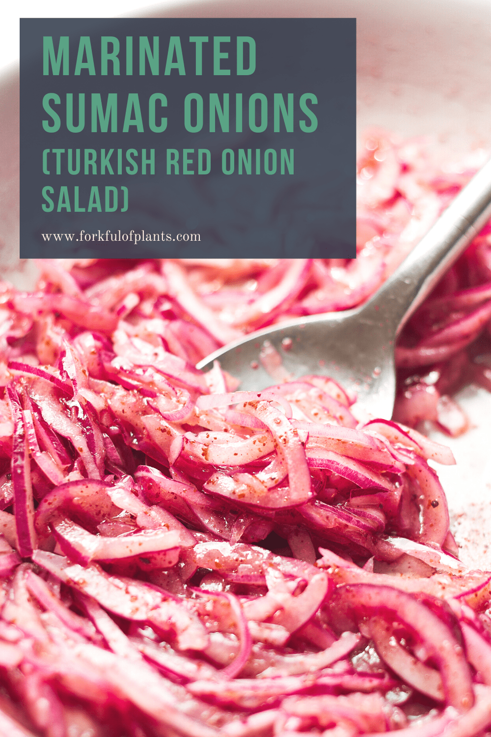 Marinated Sumac Onions (Red Onion Salad) Forkful of Plants