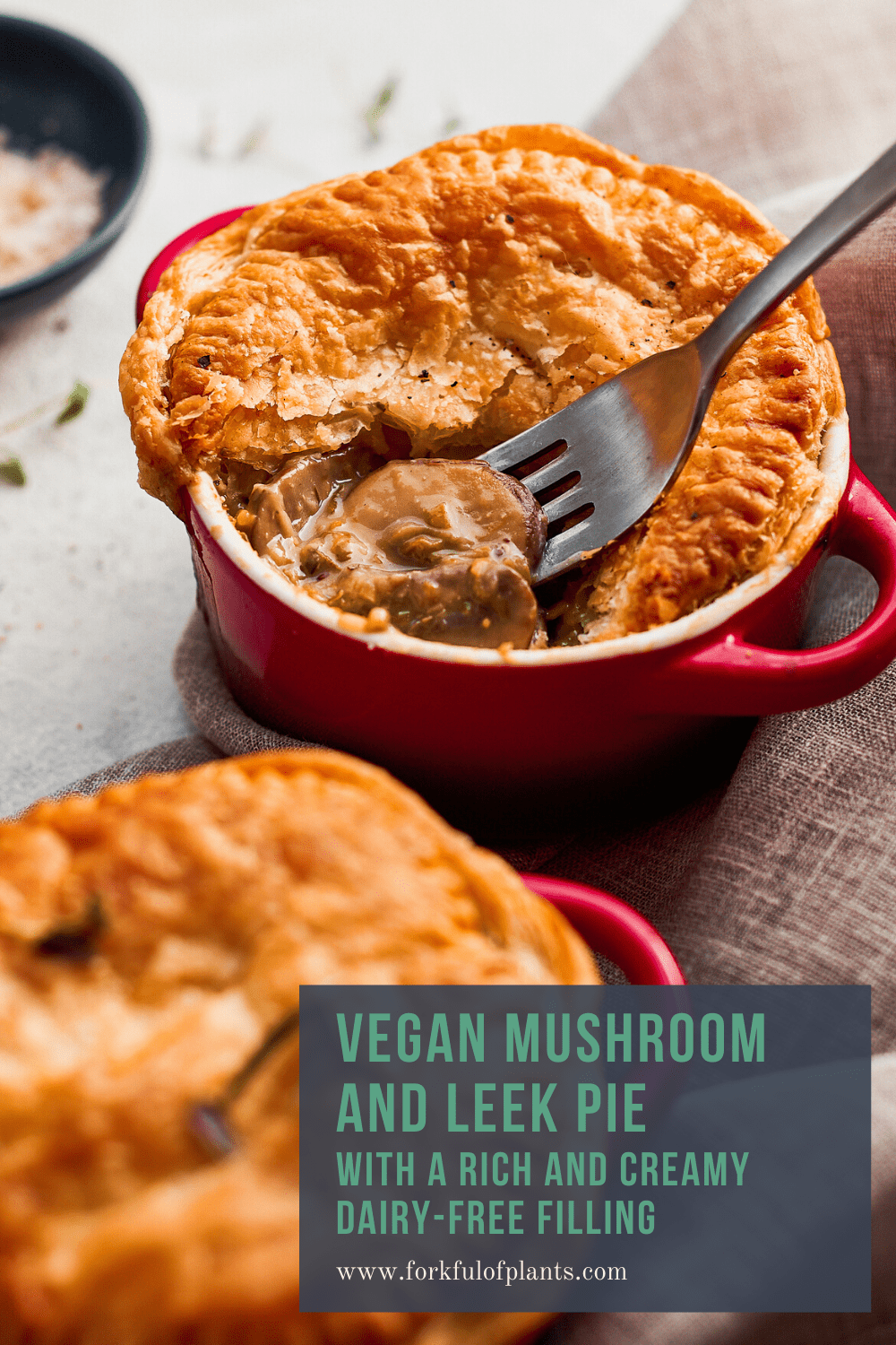 Vegan mushroom pie pin image